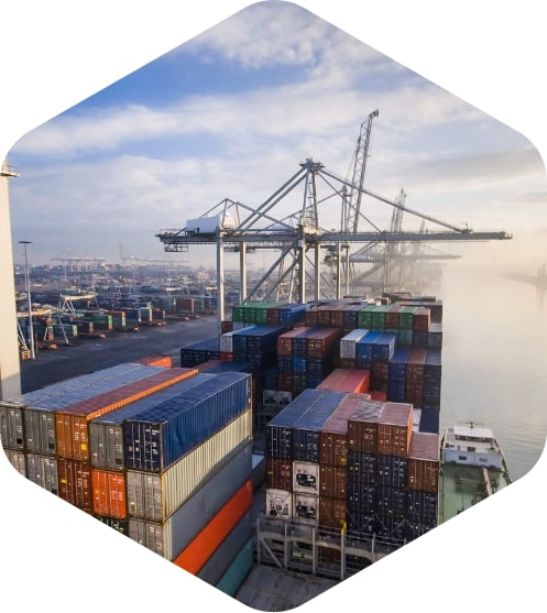 freight forwarding  sea om-laxmi-consolidators